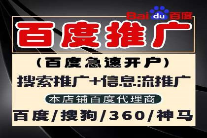 百度竞价代运营的成功案例：从零到一的突破